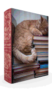 Cat Nap Book Box Puzzle 1000 Piece, Clamshell