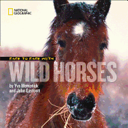 Face to Face With Wild Horses (Face to Face with Animals)