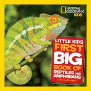 Little Kids First Big Book of Reptiles and Amphib