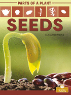 Seeds (Parts of a Plant)