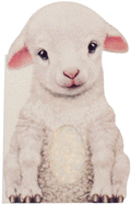 Furry Lamb (Mini Friends Touch & Feel Books)