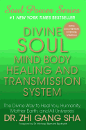 Divine Soul Mind Body Healing and Transmission Sy