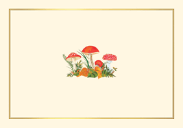 Mushrooms Note Cards (14 cards, 15 self-sealing envelopes)