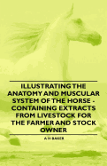 Illustrating the Anatomy and Muscular System of the Horse - Containing Extracts from Livestock for the Farmer and Stock Owner