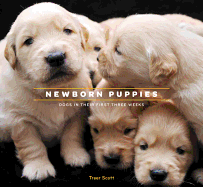 Newborn Puppies: Dogs in Their First Three Weeks