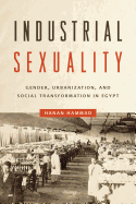 Industrial Sexuality: Gender, Urbanization, and Social Transformation in Egypt