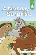 A Birthday Surprise (Stairway Decodables, Step 6)