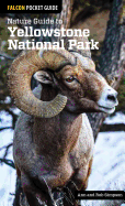 Nature Guide to Yellowstone National Park (Nature Guides to National Parks Series)