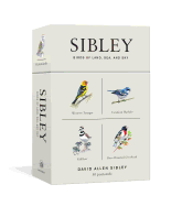 'Sibley Birds of Land, Sea, and Sky: 50 Postcards'