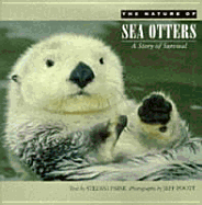 Nature of Sea Otters