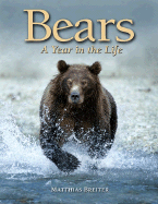 Bears: A Year in the Life