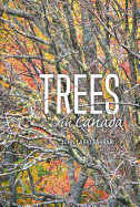 Trees In Canada