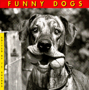 Funny Dogs