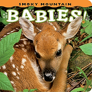 Smoky Mountain Babies! (Babies! (Farcountry Press))