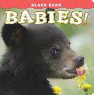 Black Bear Babies! (Babies! (Farcountry Press))