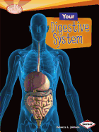 Your Digestive System (Searchlight Books (TM) -- How Does Your Body Work?)