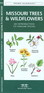 Oklahoma Trees and Wildflowers : An Introduction to Familiar Species (Pocket Naturalist - Waterford Press) (Wildlife and Nature Identification)