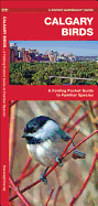 Calgary Birds: A Folding Pocket Guide to Familiar Species (Wildlife and Nature Identification)