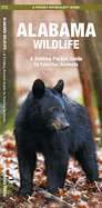 Alabama Wildlife: A Folding Pocket Guide to Familiar Animals (Wildlife and Nature Identification)