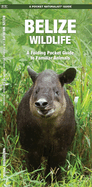 Belize Wildlife: A Folding Pocket Guide to Familiar Animals (Wildlife and Nature Identification)