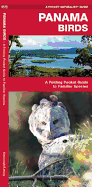 Panama Birds: A Folding Pocket Guide to Familiar Species (Wildlife and Nature Identification)