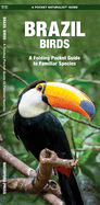 Brazil Birds: A Folding Pocket Guide to Familiar Species (Wildlife and Nature Identification)