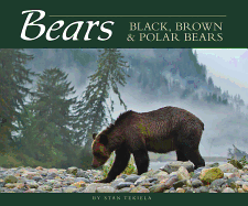 Bears: Black, Brown & Polar Bears (Wildlife Appreciation)