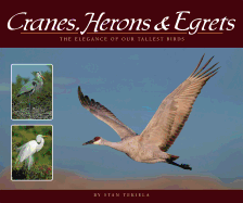 'Cranes, Herons & Egrets: The Elegance of Our Tallest Birds'