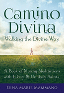 Camino Divina├óΓé¼ΓÇóWalking the Divine Way: A Book of Moving Meditations with Likely and Unlikely Saints