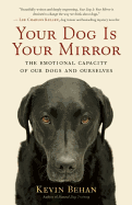 Your Dog Is Your Mirror