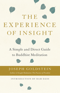 The Experience of Insight: A Simple and Direct