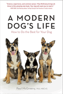 A Modern Dog├óΓé¼Γäós Life: How to Do the Best for Your Dog