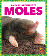 Moles (Pogo: Animal Architects)