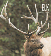 Living Wild: Elk
