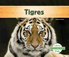 Tigres (Tigers) (Grandes Felinos / Big Cats) (Spanish Edition)