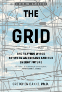 The Grid: The Fraying Wires Between Americans and