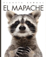 El Mapache (Planeta Animal) (Spanish Edition)
