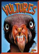 Vultures (Birds of Prey)