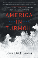 America in Turmoil: Essays on Politics, the Economy, Society, and the Future