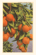 Vintage Journal Oranges, Florida (Pocket Sized - Found Image Press Journals)