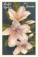 Vintage Journal Orchid Azaleas, Florida (Pocket Sized - Found Image Press Journals)