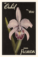 Vintage Journal Orchid from Florida (Pocket Sized - Found Image Press Journals)