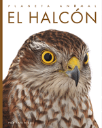 El halcon