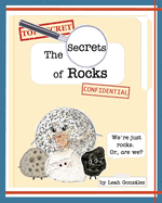 The Secrets of Rocks