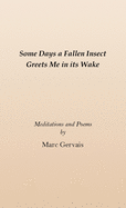 Some Days a Fallen Insect Greets Me in its Wake: Meditations and Poems