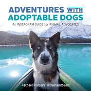 Adventures with Adoptable Dogs: An Instagram Guid