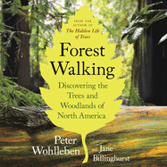 Forest Walking: Discovering the Trees and Woodlan