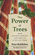 The Power of Trees: How Ancient Forests Can Save