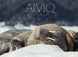 Aiviq: Life with Walruses