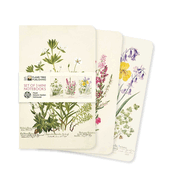 Royal Botanic Garden Edinburgh Set of 3 Mini Note